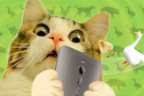 FRIDAY专栏 | 被憋疯的职场人，养起了猪牛羊鱼鸟...